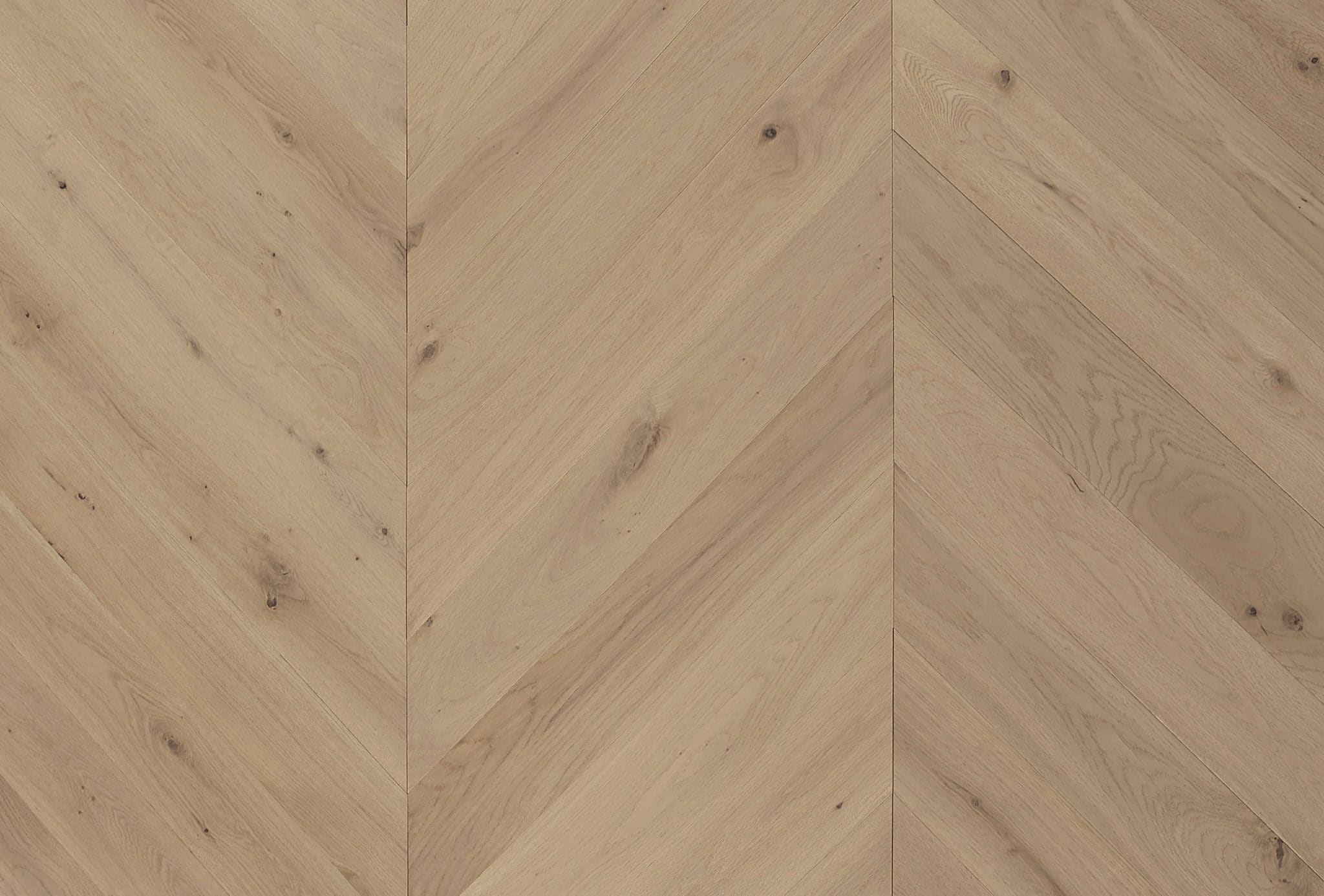 British oak C08