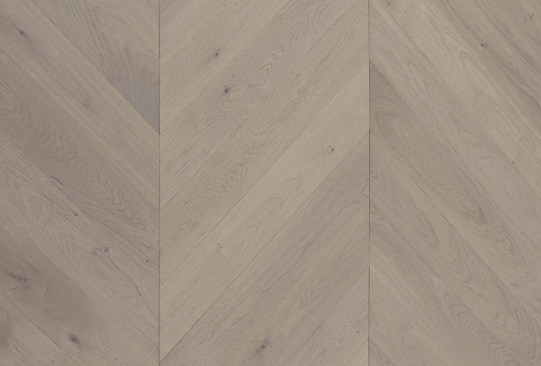 Panania oak C03